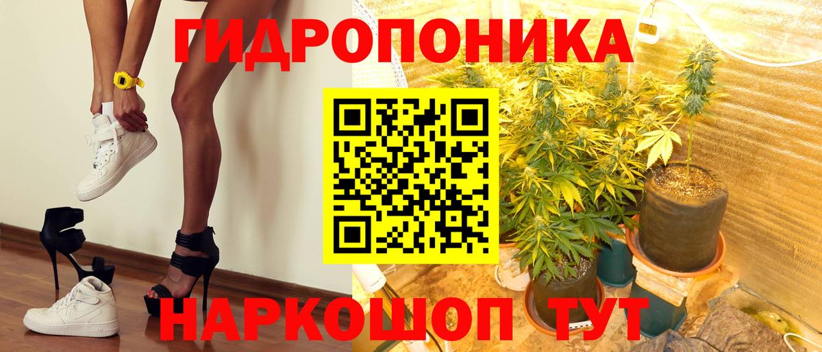 Каннабис семена Псков